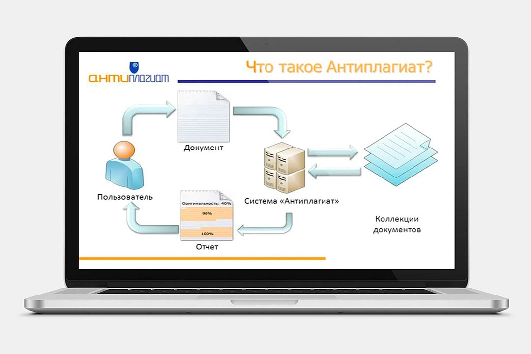 Что такое антиплагиат и как работает программа?